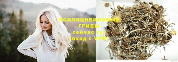молекула духа Алексеевка
